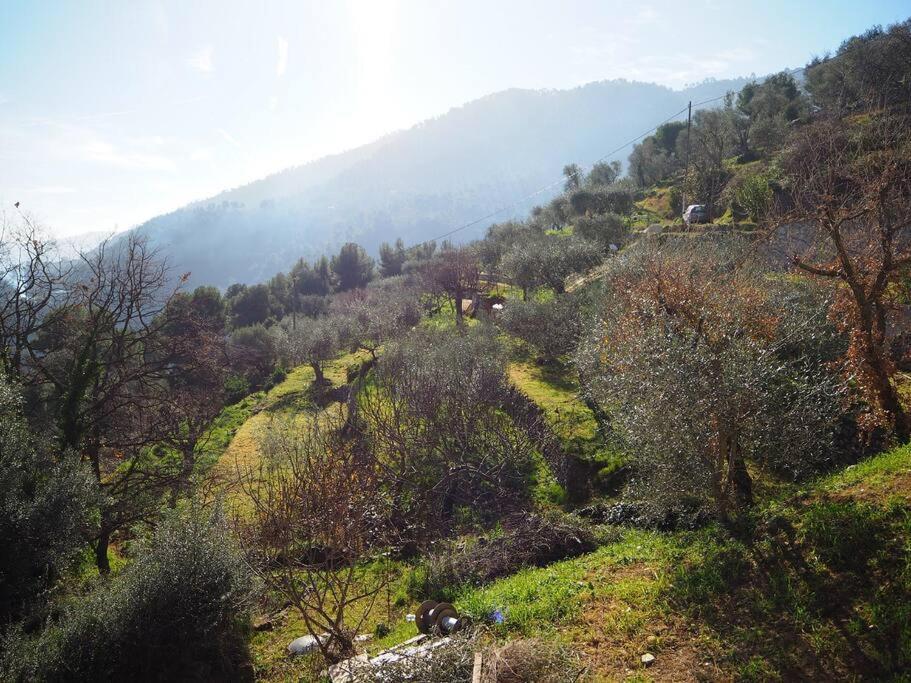 Bas De Villa Au Milieu Des Oliviers. Chateauneuf-Villevieille المظهر الخارجي الصورة